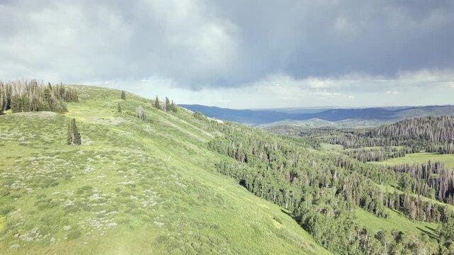 Stunning Aerial Views of Lush Green Mountain Landscape