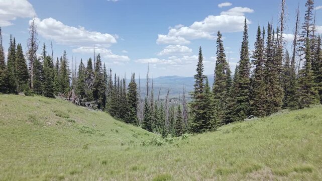 Breathtaking Mountain Landscape with Lush Greenery and Blue Sky