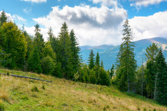 mountain landscape of ukraine with spruce forest. rural valley of podobovets in the distance. cloudy sky. serotinal background for carpathian countryside adventures