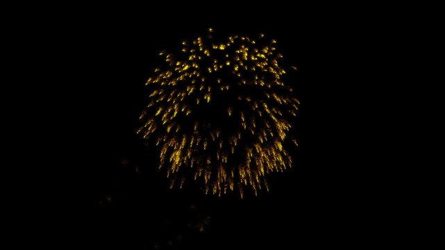 Golden Spark Particle Firework Animation with Glitter Burst on Black Background 4K Motion Graphic