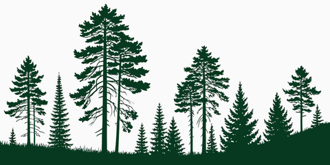 Set of 100 pine tree silhouettes on white background © AX