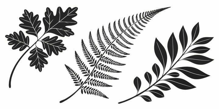 Set of ten botanical leaves with detailed veins, white background