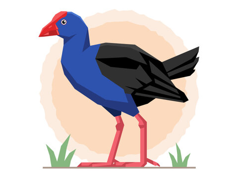Pukeko vector illustration, native bird of New Zealand isolated with sun graphic elements, geometric flat design