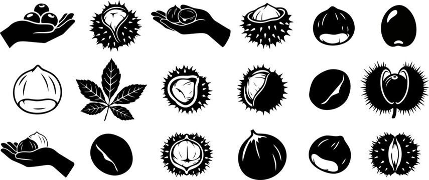 Assorted Chestnut Icons with Hand Illustrations in a Clean White Background