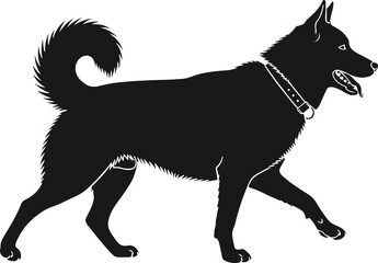 Silhouette of a Husky Dog Walking: A striking black silhouette of a husky dog in profile, captured in mid-stride, with its tongue out and tail curled high. ©  Ifti Mania