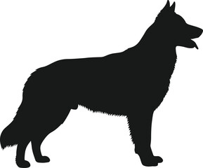 German Shepherd Silhouette: A striking black silhouette of a German Shepherd dog standing proudly, showcasing its distinctive outline and powerful build. ©  Ifti Mania