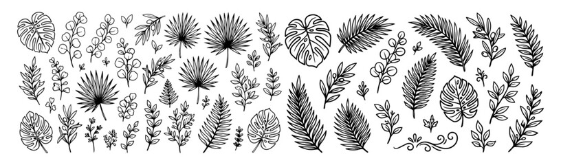 Hand drawn doodle vector mega pack of botanical leaves featuring tropical foliage, eucalyptus branches, monstera leaves, palm fronds, olive branches isolated on white background © Creative Lab