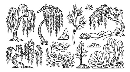Hand drawn doodle vector mega pack of willow tree illustrations featuring hanging branches, flowing foliage, curved trunks, woodland plants, forest elements isolated on white background © Creative Lab