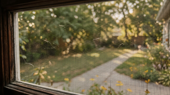 Damaged window screen with small holes and tears looking out onto sunny residential backyard garden with trees and walkway during bright afternoon daylight at home.