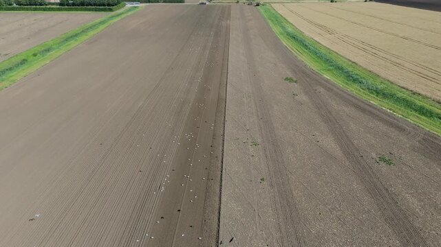 Aerial view of freshly tilled farmland. Rows stretch into the horizon. Earth shows signs of recent cultivation. Green strip divides cultivated land. Solemn, calm, and methodical scene