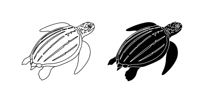 Leatherback Sea Turtle Vector Icons, Marine Reptile Outline and Silhouette, Ocean Wildlife Graphics