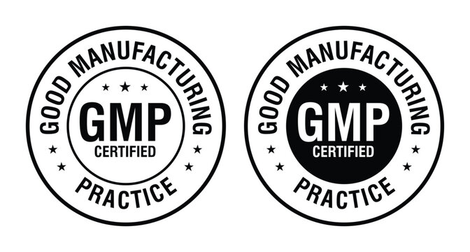 Two circular gmp certified seals with text and stars vector illustration on a white background certification seal stamp