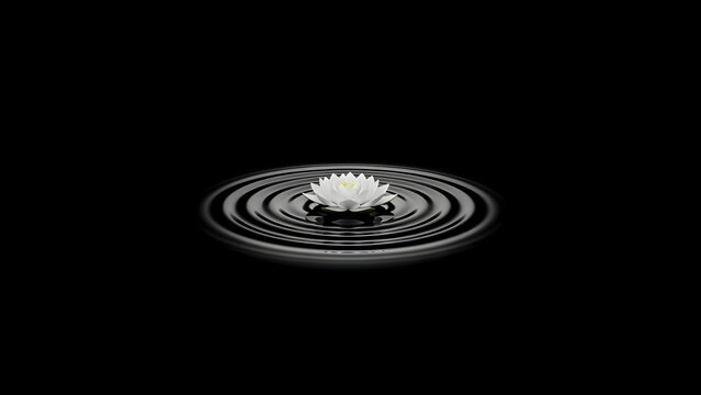 Close up of single white flower creating ripples in dark water against black background symbolizing tranquility and simplicity