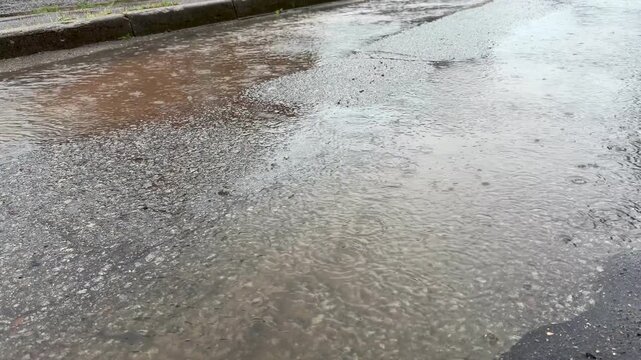 Rainwater accumulates on the asphalt surface, forming puddles as raindrops create ripples, highlighting a rainy urban street scene