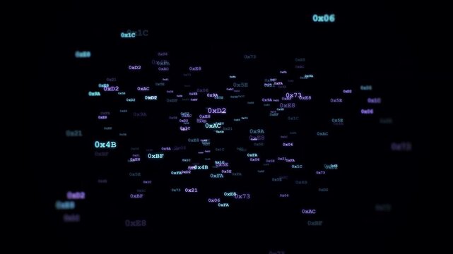 Floating Hexadecimal Crypto Address Data in Blockchain Network