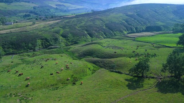 Aerial view from a drone of the winter landscape around the village of Vega de Pas. Pasiegos Valleys region, Cantabria, Spain, Europe