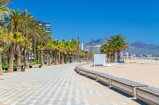 Embankment promenade with palm trees and benches, Playa San Juan beach in Alicante city, sandy beach Costa Blanca coastline in sunny summer day, mountain range background, Valencian Community, Spain