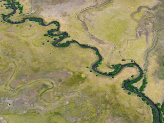Obraz premium A narrow creek meanders through a wetland in the Deschutes National Forest near Mt. Bachelor, Oregon. Wetland habitats support a wide variety of species.