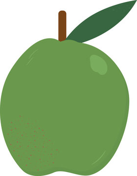Green apple with leaf in minimal flat style for healthy food, nutrition