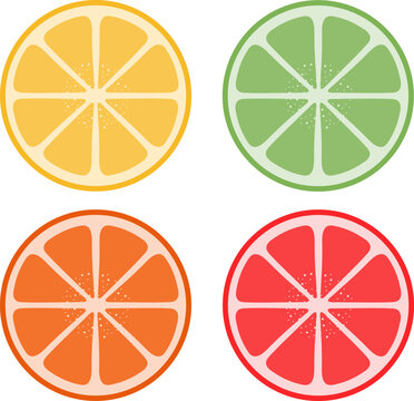 Colorful citrus fruit slices including orange, lemon, lime and grapefruit in flat vector style