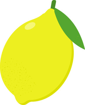 Bright yellow lemon with leaf in modern flat style for food, beverage and healthy lifestyle