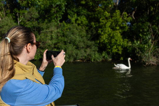 woman on boat trip taking pictures of a swan