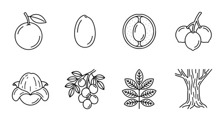 Obraz premium Botanical Line Art Icons: Fruit, Leaves, and Tree Elements for Nature Design