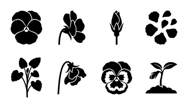 Pansy Flower Icons, Vector Botanical Elements, Floral Graphics, Garden Plant Silhouettes