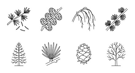 Botanical Line Art Collection: Pine Cones, Needles, Branches, and Trees, Nature Elements Vector Set © Taskin