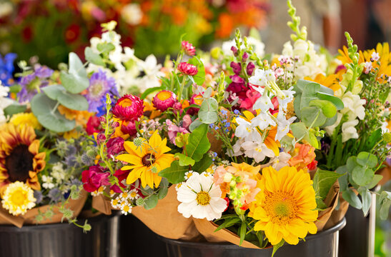 Variety of colorful summer cut flowers for sale at an outdoor market