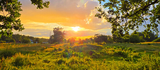 Obraz premium Sunset in a summer field with green grass and trees, panorama