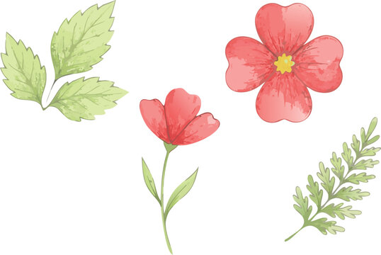 Set of watercolor hand painting textured red daisy potentilla flowers and green leaves. Textured watercolour floral stylized poppy or anemone for pattern design
