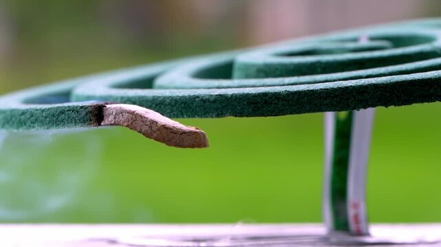 Green coiled device emits steady smoke. Burned edge curls slightly above grassy background. Outdoor setting suggests insect protection. Natural scene implies calm, functional use