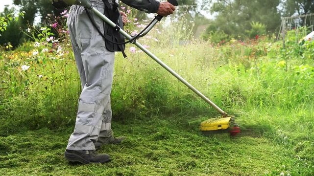 Man trims overgrown grass with a motorized weed wacker. He moves steadily, clearing weeds from garden borders. Greenery and wildflowers surround the trimming area