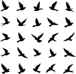 Fototapeta premium Collection of black silhouette birds in flight vector illustration