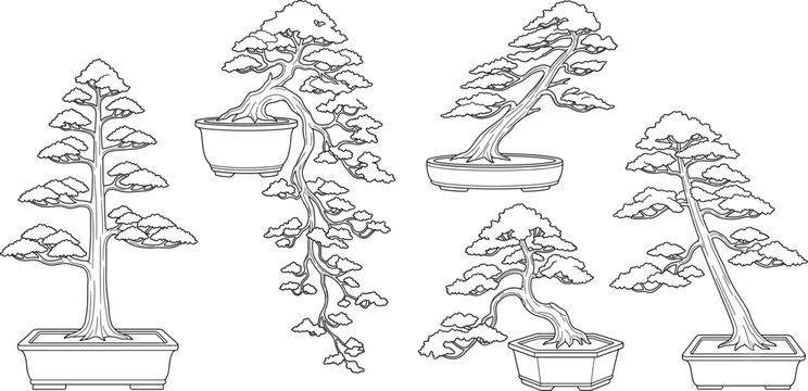 Architectural scale figures of various japanese bonsai tree styles side view vector line art collection