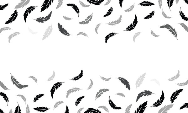 Black Feather Borders Confetti Background