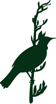 vector illustration of a tui on harakeke