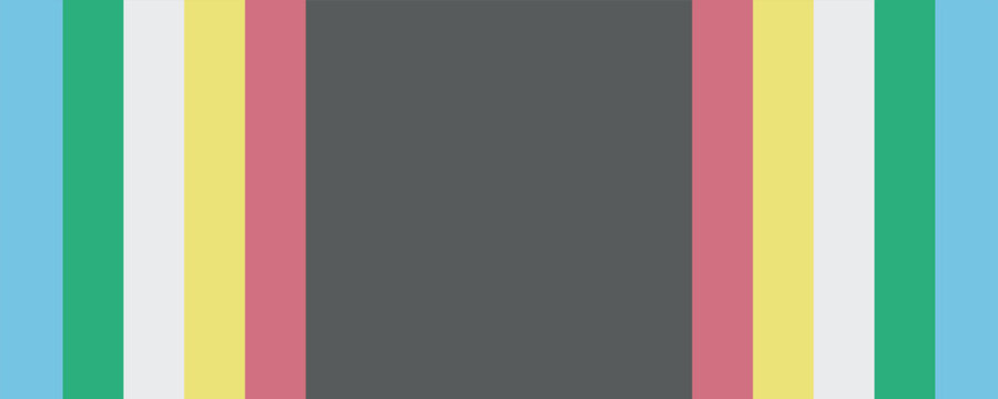 Disability pride flag. Color stripes representing a form of impairment