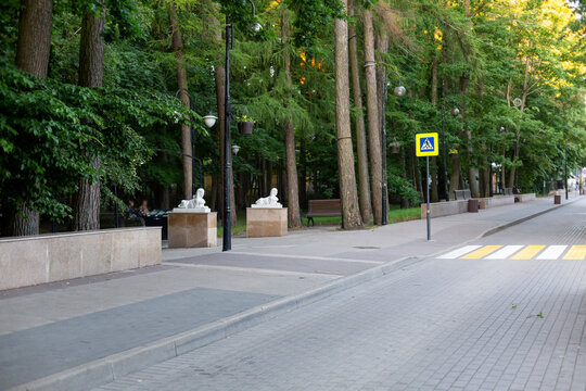 Summer street view in Svetlogorsk with trees and decorative sculptures