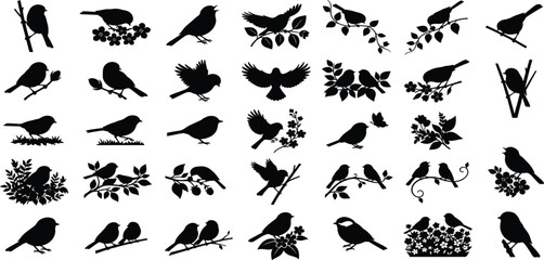 Botanical Songbirds and Wild Avian Solid Silhouette Icon Set Featuring Floral Tree Branches, Spring Blossom Elements, and Nature Zoology Vector Graphics © MdSirazul