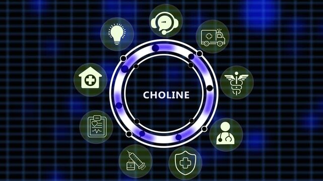 Futuristic Choline Brain Health and Liver Metabolism HUD Interface Animation 4K