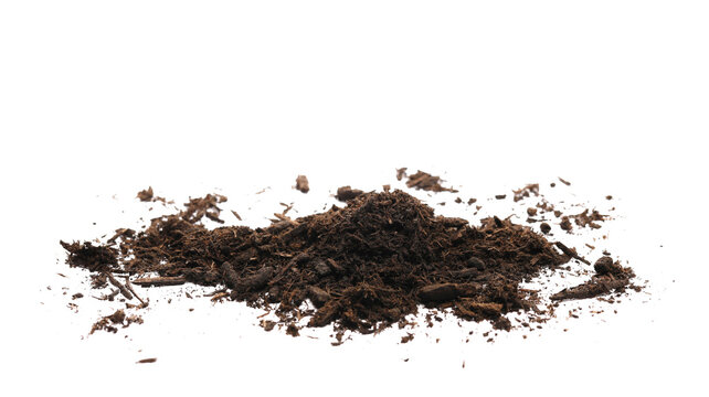 Pile humus, dirt isolated on white background, side view