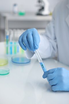 Scientist holding PH test strip and glass tube with liquid at white table in laboratory, closeup