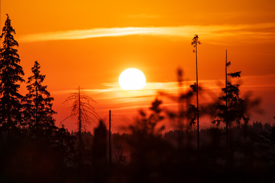 Dramatic red sunrise above Tatra Mountains forests near Zakopane.