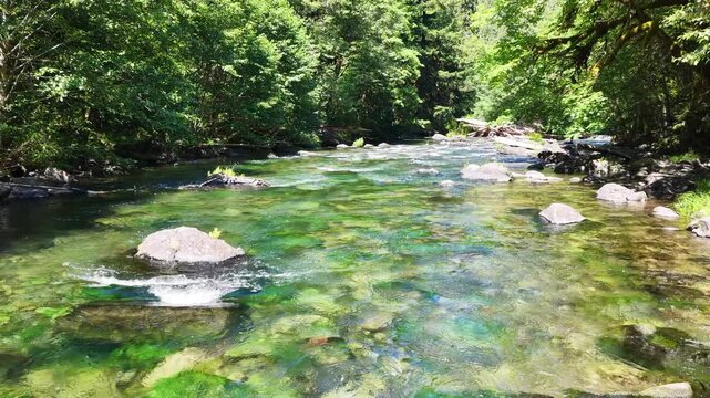 Clear water flows down the Clackamas River in Northwestern Oregon, not far from Salem. Originating in the Mt. Hood National Forest, this beautiful 83-mile river is a tributary to the Willamette River.