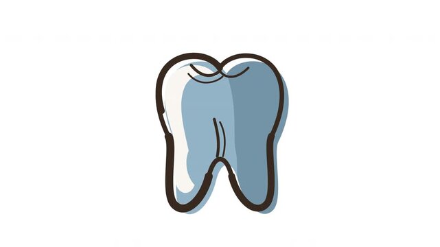 Dental Tooth Crown Anatomy Hand Drawn Animated Illustration Loop