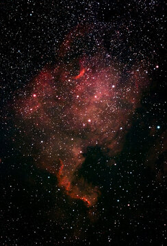 North America Nebula NGC 7000 emission nebula in Cygnus constellation.