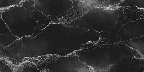 A striking abstract texture reminiscent of black marble with delicate white veining, offering a sophisticated and modern background. © mehek