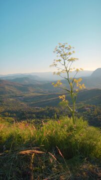 Panoramic view of a Calabrian valley at sunset